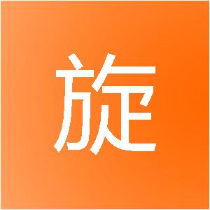 上海速旋信息技术有限公司