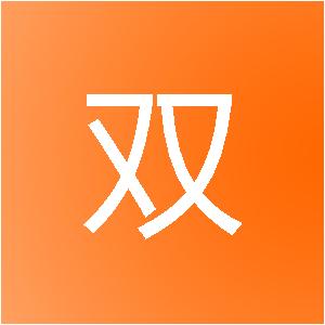 上海盖双信息技术中心