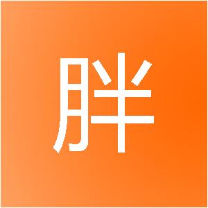 海南蓝胖子网络科技有限公司
