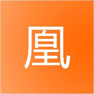 上海双凰信息技术中心