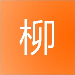 上海琳柳网络科技有限公司