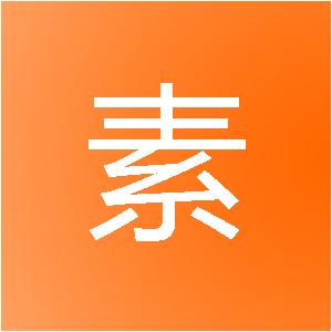 山东百素装饰工程有限公司