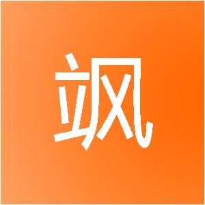 广西诺飒信息技术有限公司