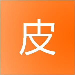 辛集市皮都网络科技有限公司