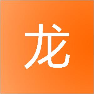 上海凤龙信息技术有限公司